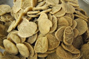 Cavatelli di farina integrale 